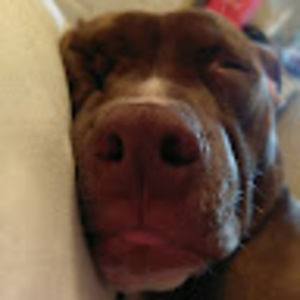 Meet your Posher, Jaimie